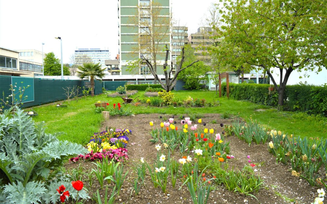 ESC GREEN FINGERS – spring volunteering team 2023 testimonies (part 1)